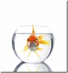 Time-for-a-New-Home-Loan-From-Setabay-Home-Mortgage-952x1024